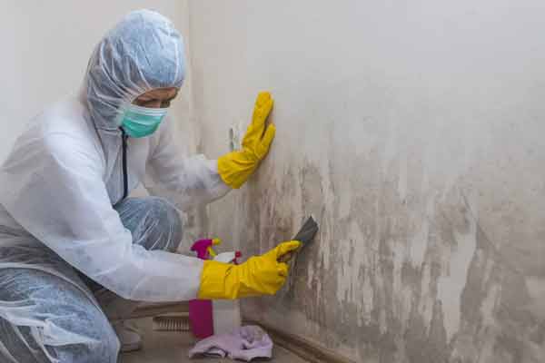 Odor Removal & Mitigation