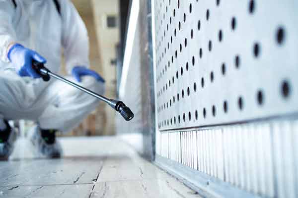 Mold Assessment, Removal & Remediation