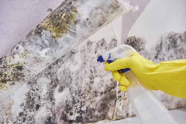 Fire & Smoke Damage Cleanup & Restoration